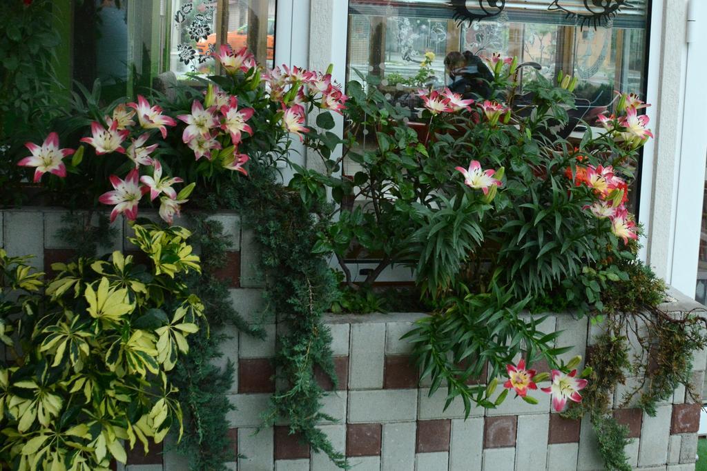 Apartmani Banja Spa Vrnjačka Banja 외부 사진